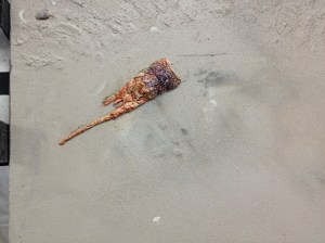 detail - Beware of crocs