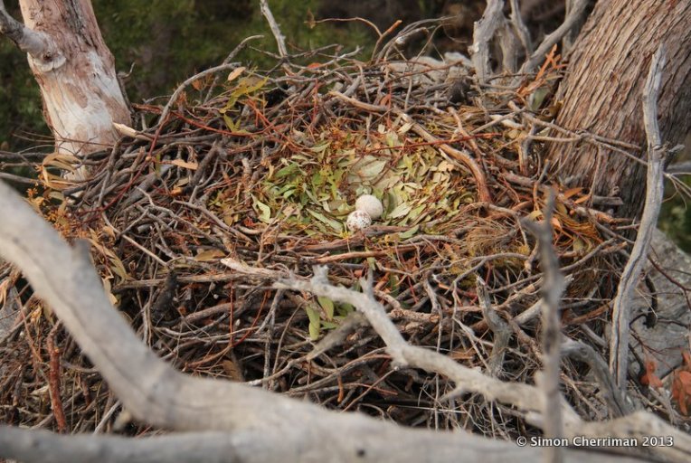 BB766516-0BAF-4D53-B82B-D82B7E4FD4B8